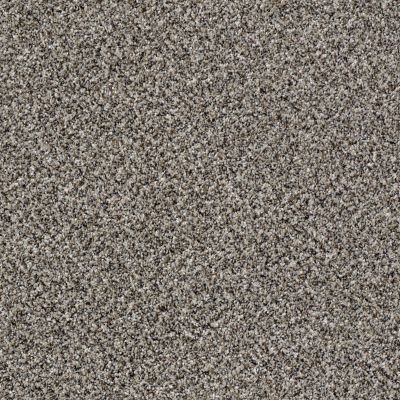 Shaw Floors Value Collections Xy145 12′ Net Alaskan Air 00500_XY145
