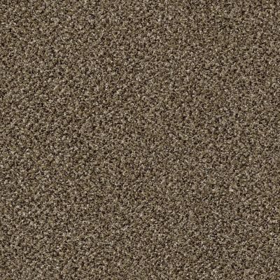 Shaw Floors Value Collections Xy145 12′ Net Pinecone 00701_XY145