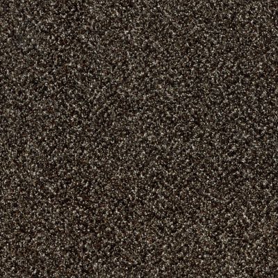 Shaw Floors Value Collections Xy145 12′ Net River Rock 00702_XY145