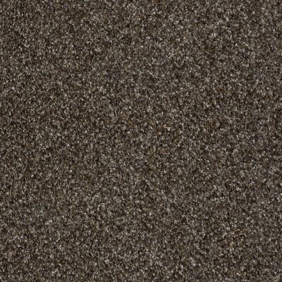 Shaw Floors Value Collections Xy145 12′ Net Mystic River 00703_XY145