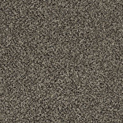 Shaw Floors Value Collections Xy147 Timber Wolf 00104_XY147