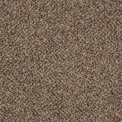 Shaw Floors Value Collections Xy147 Worn Path 00700_XY147