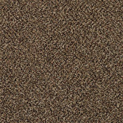 Shaw Floors Value Collections Xy149 Raw Sienna 00202_XY149