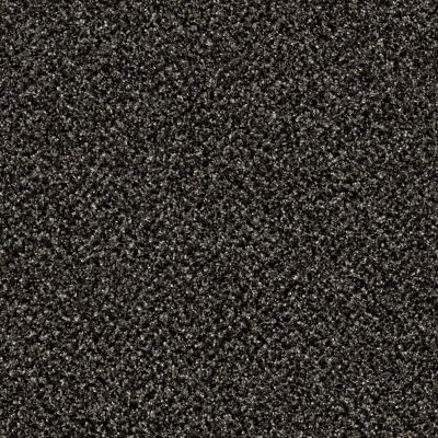 Shaw Floors Value Collections Xy149 Iron Age 00503_XY149