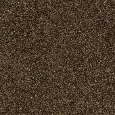 Shaw Floors Roll Special Xy158 Sedona 00702_XY158