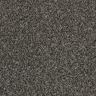 Shaw Floors Value Collections Xy194 Meteorite 00501_XY194