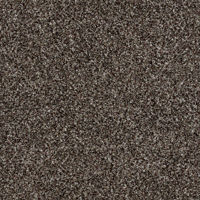 Shaw Floors Value Collections Xy194 Mushroom 00502_XY194