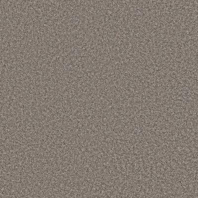 Shaw Floors Value Collections Xy194 Bird Bath 00700_XY194