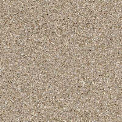 Shaw Floors Value Collections Xy196 Sand Castle 00101_XY196