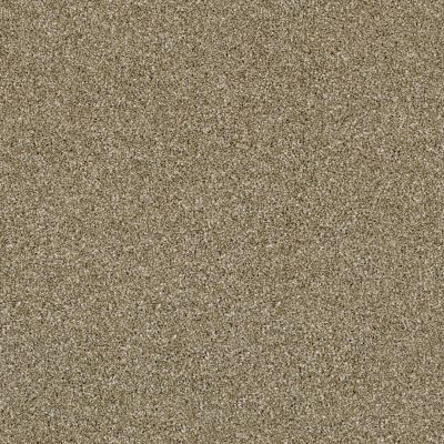 Shaw Floors Value Collections Xy196 Biscotti 00102_XY196
