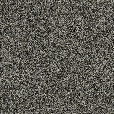 Shaw Floors Value Collections Xy196 Marina 00400_XY196