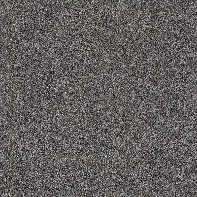 Shaw Floors Value Collections Xy196 Shadow 00502_XY196