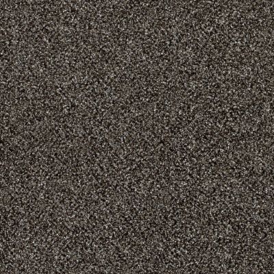 Shaw Floors Value Collections Xy196 Boulder 00504_XY196