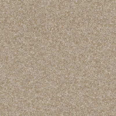 Shaw Floors Value Collections Xy207 Net Sand Castle 00101_XY207