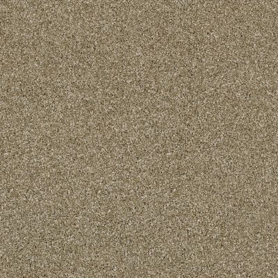 Shaw Floors Value Collections Xy207 Net Biscotti 00102_XY207