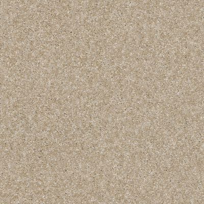 Shaw Floors Value Collections Xy207 Net Sepia 00105_XY207