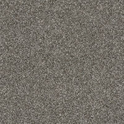 Shaw Floors Value Collections Xy207 Net Ashes 00501_XY207