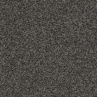 Shaw Floors Value Collections Xy207 Net Soot 00503_XY207