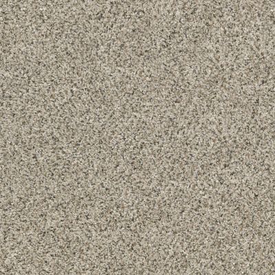 Shaw Floors Value Collections Xz014 Net River Rock 00701_XZ014
