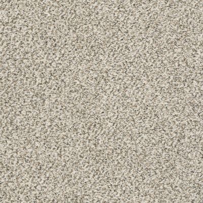 Shaw Floors Value Collections Xz015 Net Goose Feather 00101_XZ015