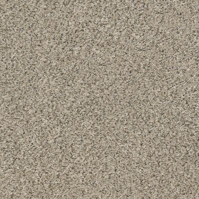 Shaw Floors Value Collections Xz015 Net River Rock 00701_XZ015