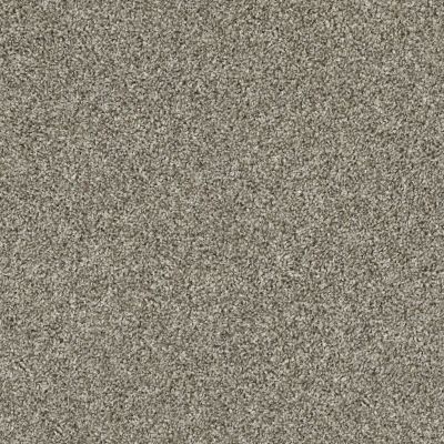 Shaw Floors Roll Special Xz017 Barely There 00720_XZ017