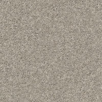 Shaw Floors Value Collections Xz020 Net Cement 00510_XZ020