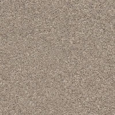 Shaw Floors Value Collections Xz020 Net Forever Pewter 00710_XZ020