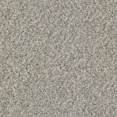 Shaw Floors Roll Special Xz031 Stone 00550_XZ031