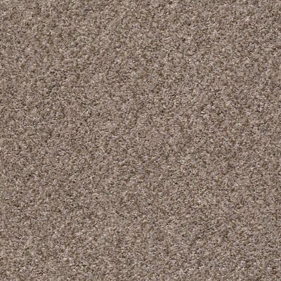 Shaw Floors Roll Special Xz031 Brown Reed 00751_XZ031