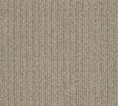 Shaw Floors Roll Special Xz043 Artisan Taupe 00700_XZ043