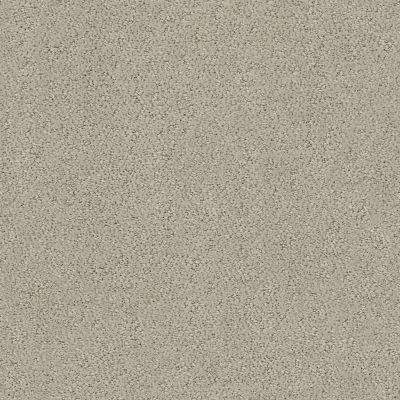 Shaw Floors Roll Special Xz044 Natural Stone 00106_XZ044
