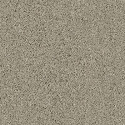 Shaw Floors Roll Special Xz044 Artisan Taupe 00700_XZ044