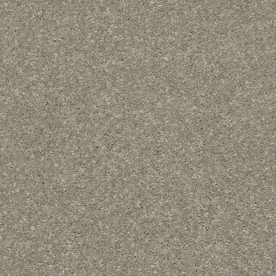 Shaw Floors Roll Special Xz047 Rustic Taupe 00722_XZ047