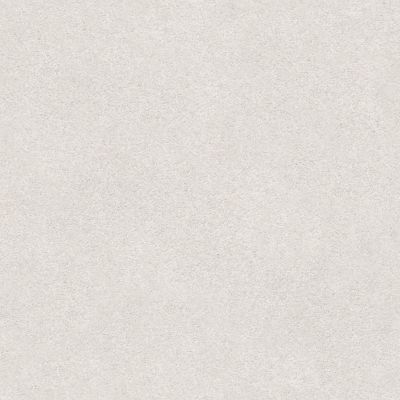 Shaw Floors Roll Special Xz072 Dove 00151_XZ072