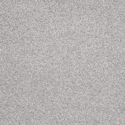 Shaw Floors Roll Special Xz078 Mystic 00560_XZ078