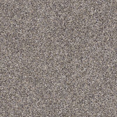 Shaw Floors Value Collections Xz141 Net Reflection 00500_XZ141