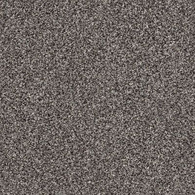 Shaw Floors Value Collections Xz141 Net Anchor 00501_XZ141