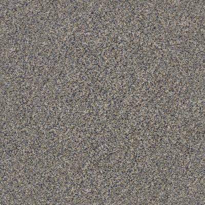 Shaw Floors Value Collections Xz145 Net Fleeting Fawn 00105_XZ145