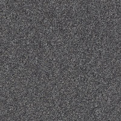 Shaw Floors Value Collections Xz145 Net Buckthorn 00702_XZ145