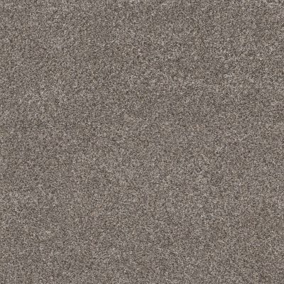 Shaw Floors Value Collections Xz147 Net Fleeting Fawn 00105_XZ147