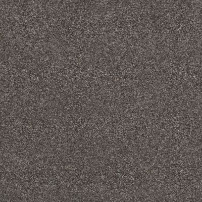 Shaw Floors Value Collections Xz147 Net Buckthorn 00702_XZ147