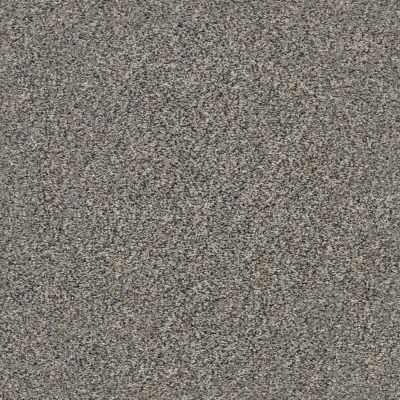 Shaw Floors Value Collections Xz149 Net Fleeting Fawn 00105_XZ149