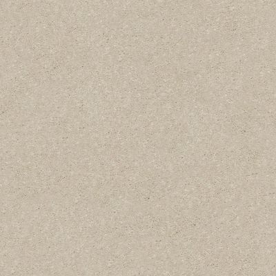 Shaw Floors Xz158 Bleached 00101_XZ158