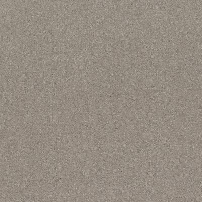 Shaw Floors Roll Special Xz160 Greige 00106_XZ160