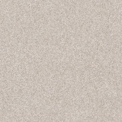 Shaw Floors Roll Special Xz164 Desert Light 00121_XZ164