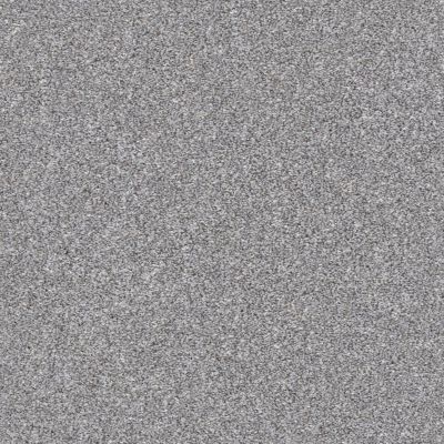 Shaw Floors Roll Special Xz164 Arctic Shadow 00521_XZ164