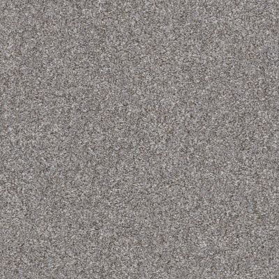 Shaw Floors Value Collections Xz165 Net Cedar Ridge 00721_XZ165