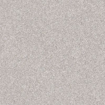 Shaw Floors Roll Special Xz166 Soft Fleece 00120_XZ166