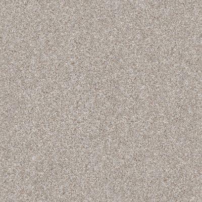 Shaw Floors Roll Special Xz166 Winter Dunes 00123_XZ166